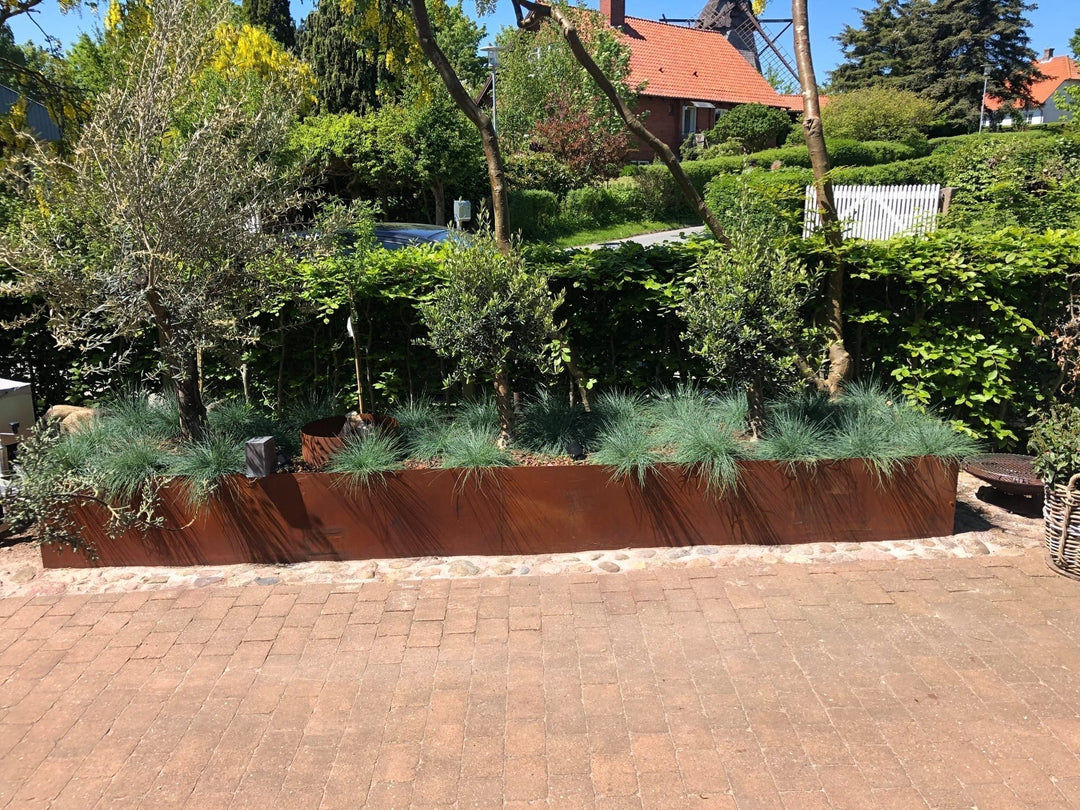 Vinterplanter | Planter som egner seg for vinteren | Stålhagen