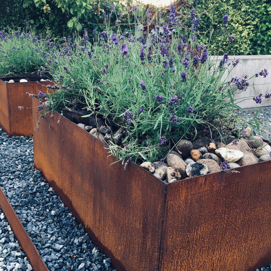 Plantekasse klassisk modell 50 cm bred og 50 cm høy