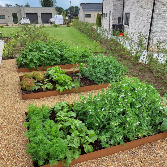 Bedkant i 2 mm cortenstål