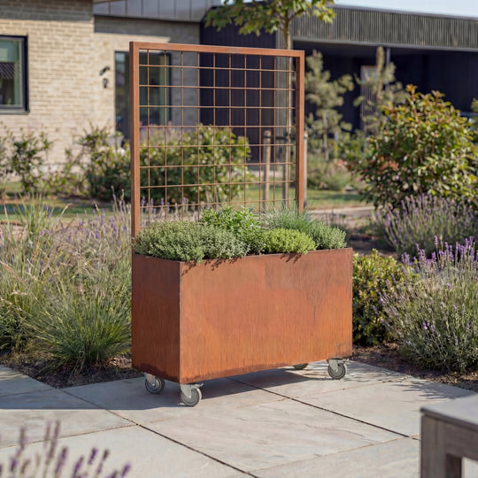 Plantekasse med espalier