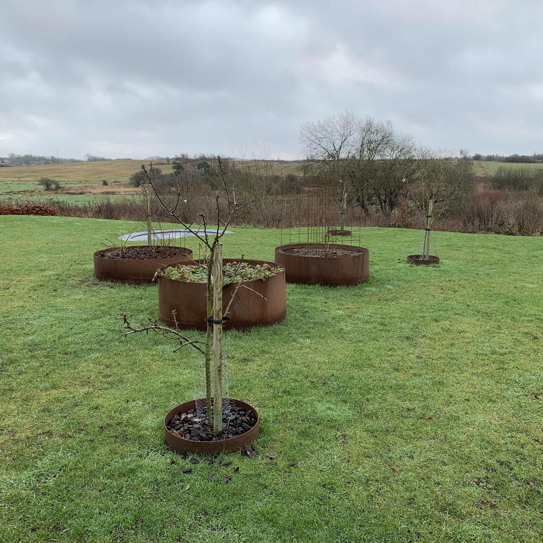 Bedsirkel i 3 mm cortenstål – høy og stor modell